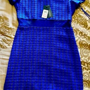 Royal blue spandex pencil dress with sheer top, middle and bottom